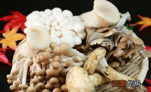 ?冬天吃减肥最有效的食物 冬季减肥饮食误区
