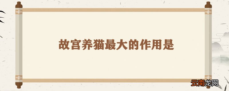 故宫养猫最大的作用是