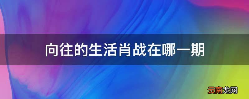 向往的生活肖战在哪一期