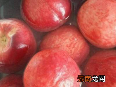 水蜜桃保存