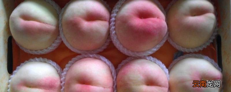 水蜜桃保存