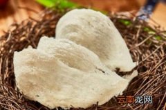 燕窝的功效与作用都有哪些