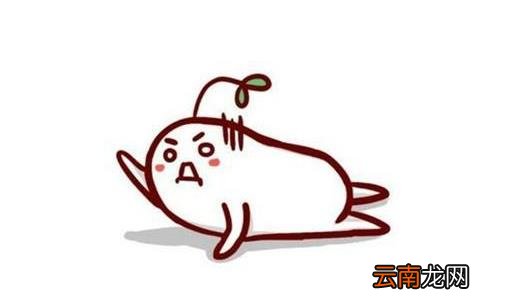 东西不干不净吃了真的不会生病吗