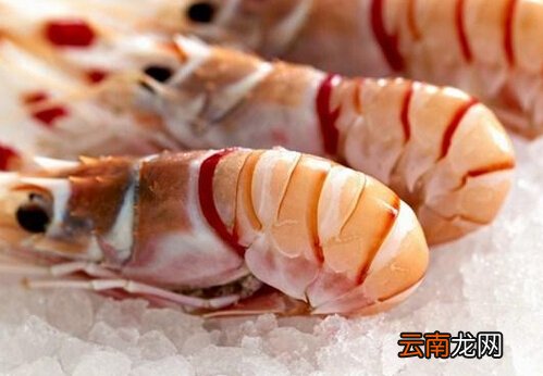 食材保鲜解冻技巧-让营养更和美味更优质