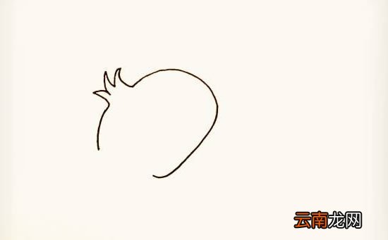 石榴简单简笔画
