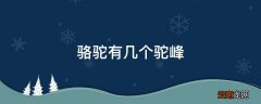 骆驼有几个驼峰
