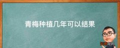 青梅种植几年可以结果