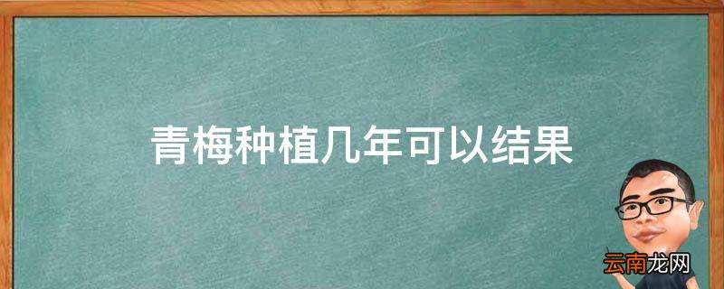 青梅种植几年可以结果