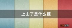 上山了是什么梗