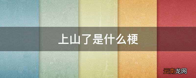 上山了是什么梗