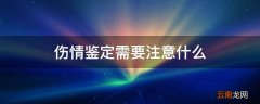 伤情鉴定需要注意什么