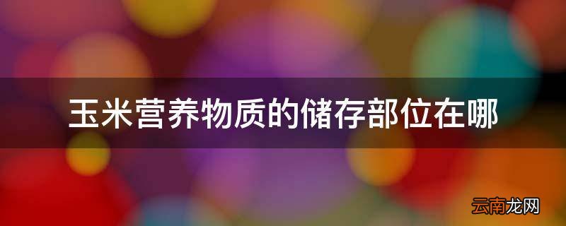 玉米营养物质的储存部位在哪