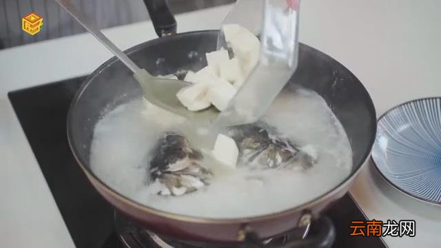 鱼头豆腐汤