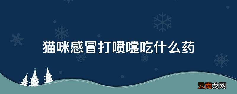 猫咪感冒打喷嚏吃什么药