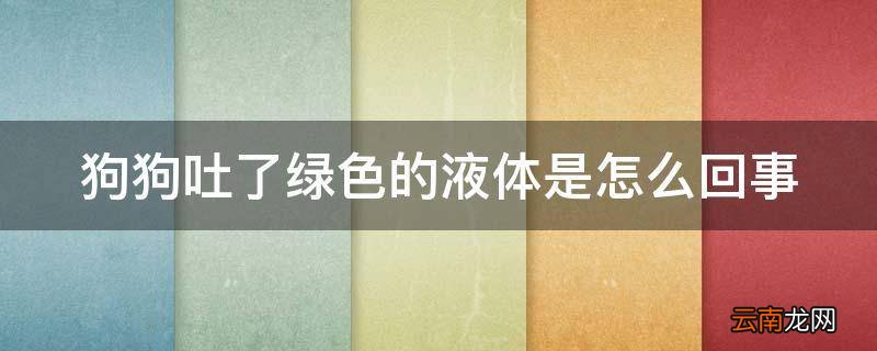 狗狗吐了绿色的液体是怎么回事