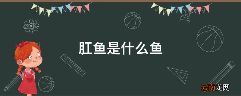 肛鱼是什么鱼