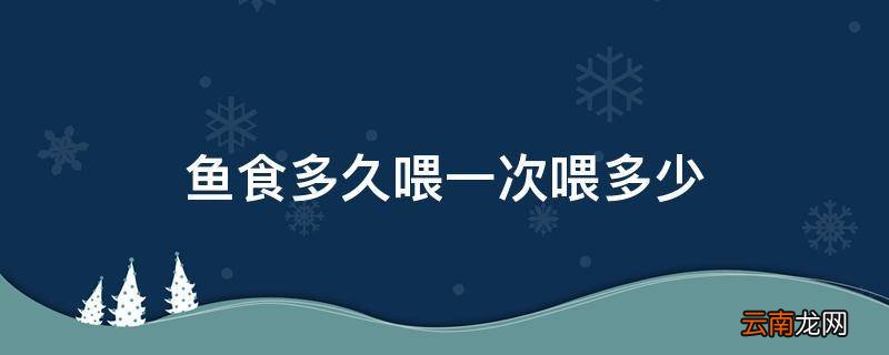 鱼食多久喂一次喂多少