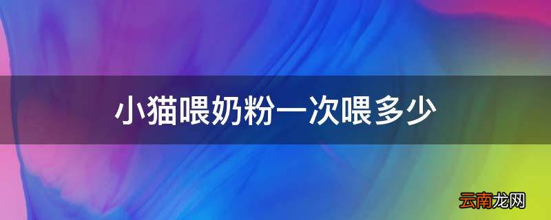 小猫喂奶粉一次喂多少