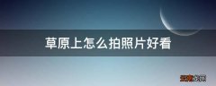 草原上怎么拍照片好看