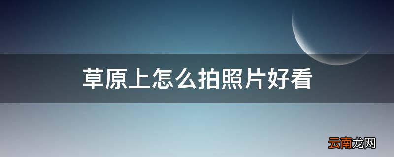 草原上怎么拍照片好看