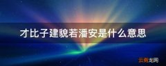 才比子建貌若潘安是什么意思