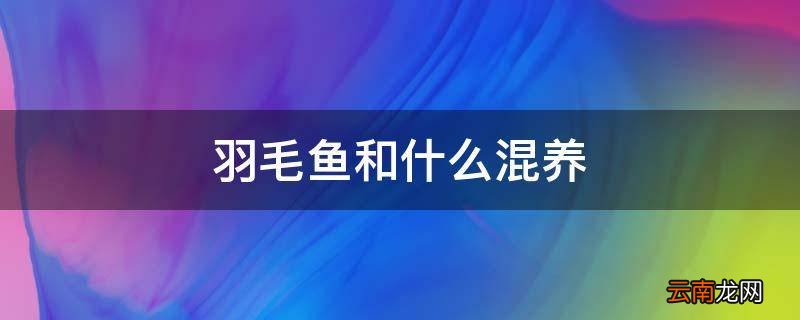 羽毛鱼和什么混养