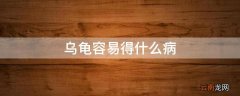 乌龟容易得什么病