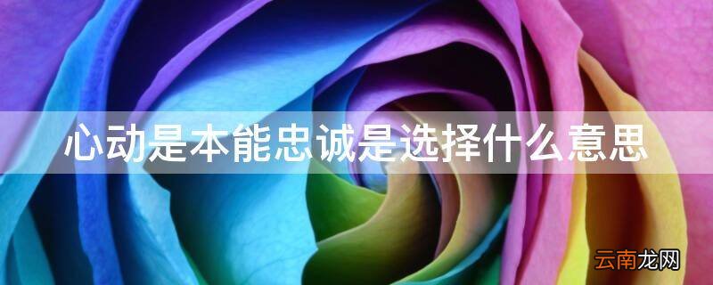 心动是本能忠诚是选择什么意思