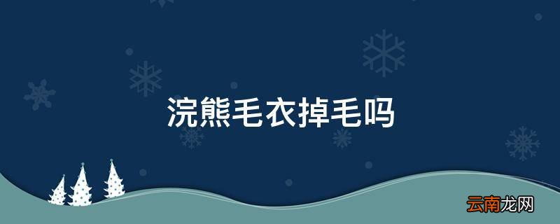 浣熊毛衣掉毛吗