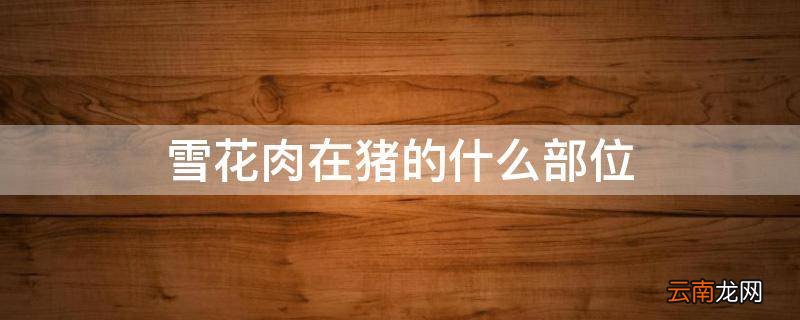 雪花肉在猪的什么部位