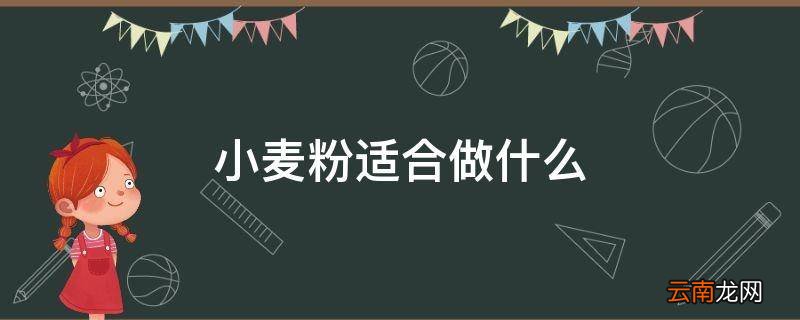 小麦粉适合做什么