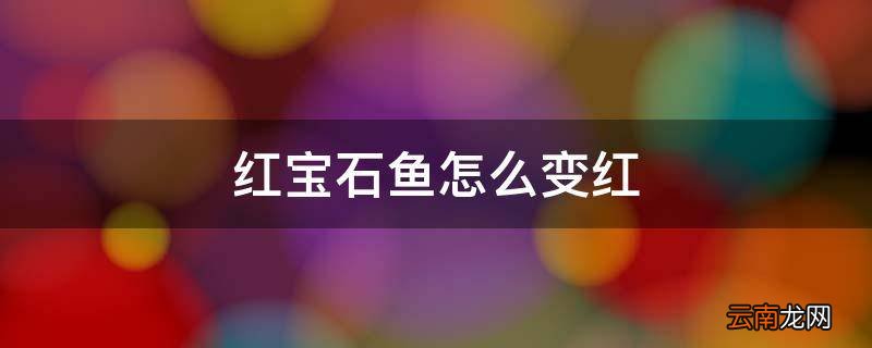红宝石鱼怎么变红