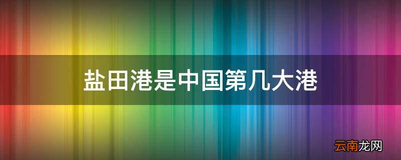 盐田港是中国第几大港