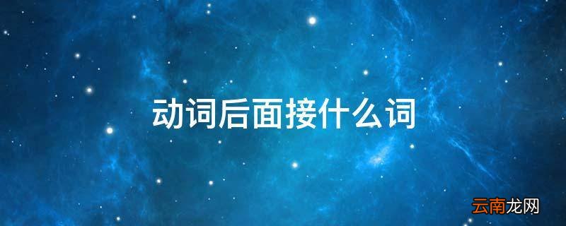 动词后面接什么词