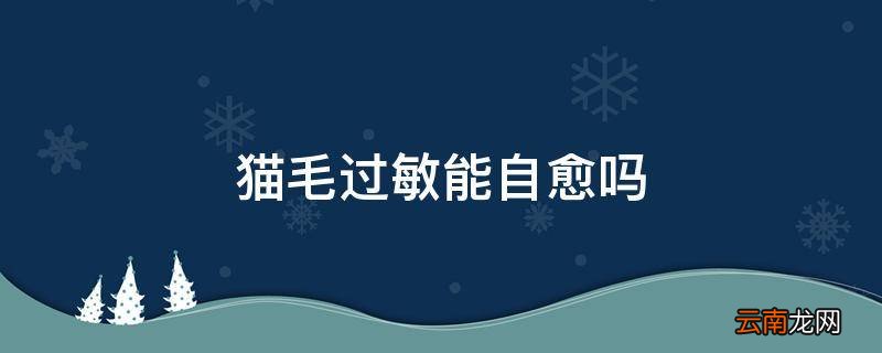 猫毛过敏能自愈吗