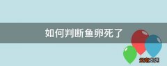 如何判断鱼卵死了