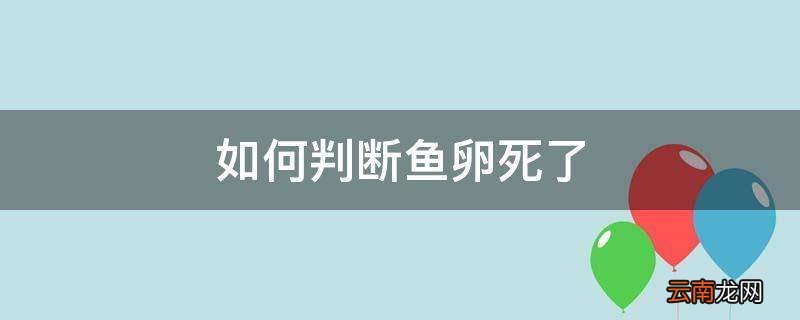 如何判断鱼卵死了