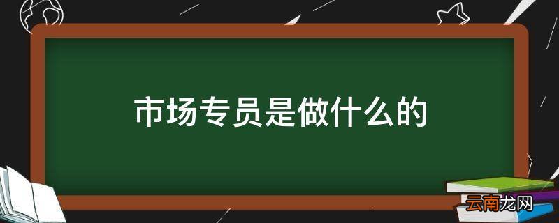 市场专员是做什么的