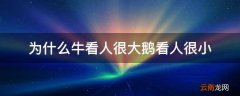 为什么牛看人很大鹅看人很小