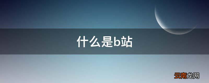 什么是b站
