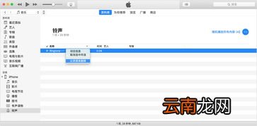 苹果来电铃声怎么设置 苹果13怎么设置歌曲来电铃声