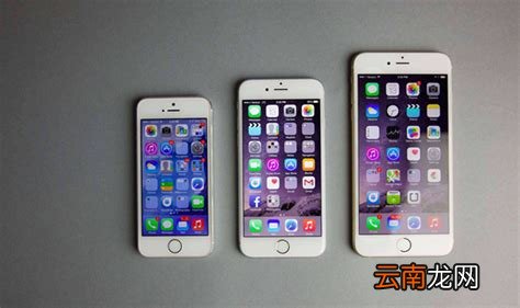 苹果5上市，苹果5是哪一年上市的