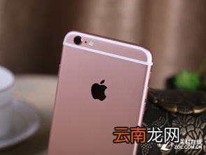 apple6s plus iphone6s plus