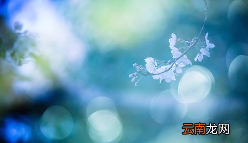 正确背单词的方法 正确背单词的方法 知乎