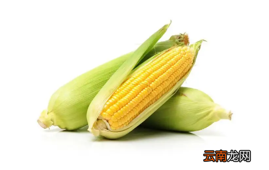 玉米是新鲜存放还是煮熟存放