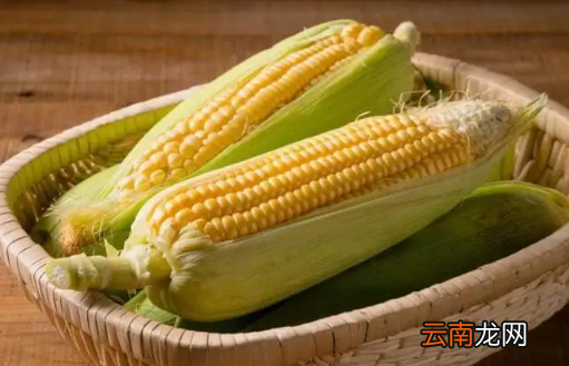 玉米是新鲜存放还是煮熟存放