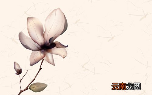 勺子用英语怎么说 勺子用英语怎么说读