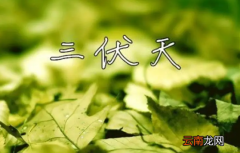 2022进伏是哪一个节气开始