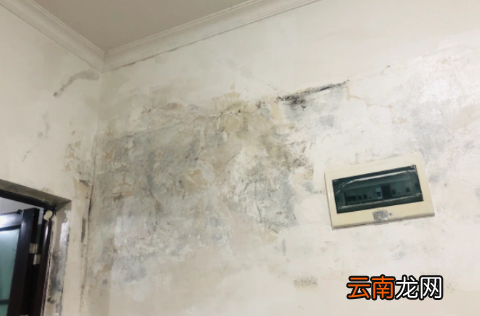 防水补漏打针注浆花了20000合理吗