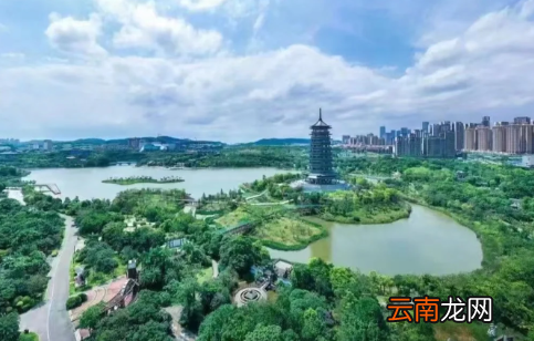 网签是去中介还是去交易大厅